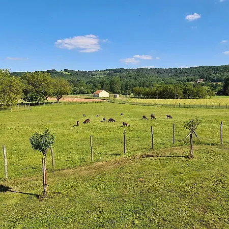 Le Séchoir Des Acacias, L'orée Du Bois Saint-Leon-sur-Vezere